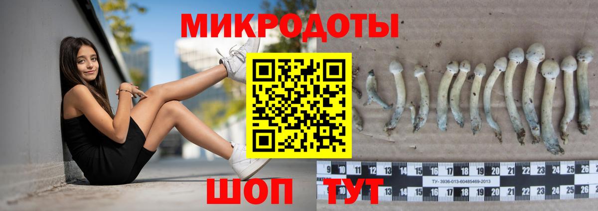 Галлюциногенные грибы Psilocybe  Вход с VPN  Кумертау 